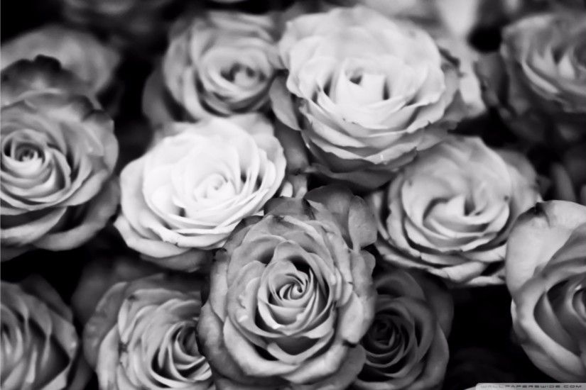 Black-and-White-Roses-Wallpaper-4K.jpg (3840Ã2160) | BLOOMS. | Pinterest