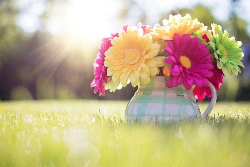 large spring backgrounds 2880x1800