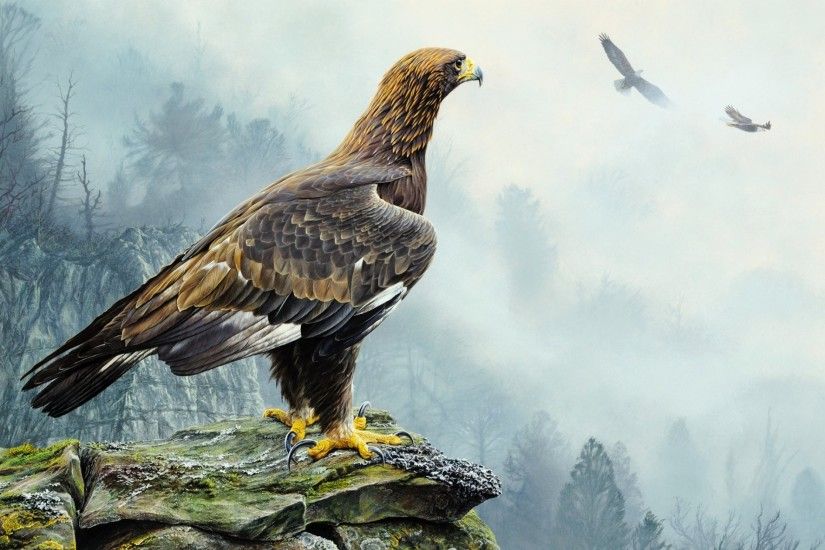 alan m. hunt golden eagle pattern poultry eagle flight rock tree fog nature  landscape