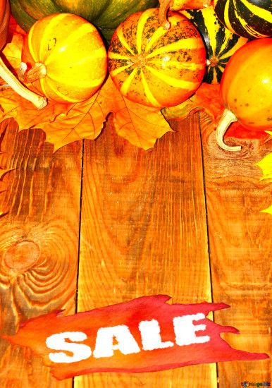 Autumn background with pumpkins sale banner template
