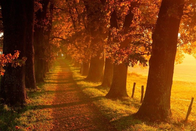 Fantastic Autumn Landscape Wallpaper 14029 2560x1440 px .
