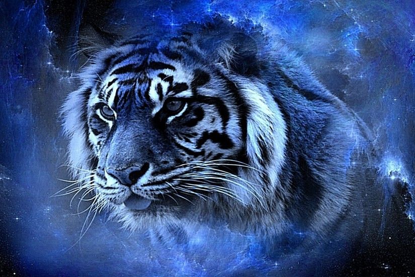 Animal - Tiger Artistic Face Close-Up Blue Big Cat Wallpaper