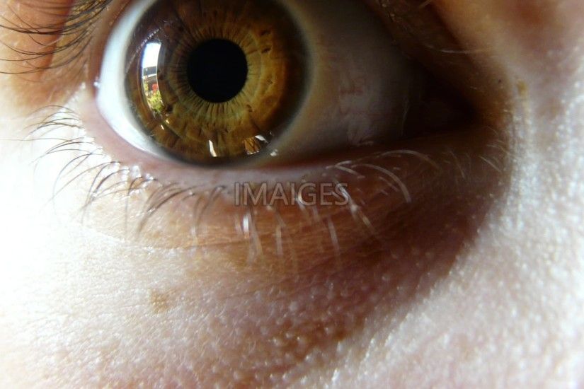 Eye, Human, Eyeball, Iris, Look, Vision