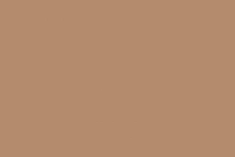 Light Taupe Solid Color Background