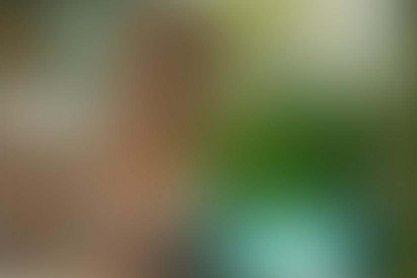 download free blurry background 1920x1440