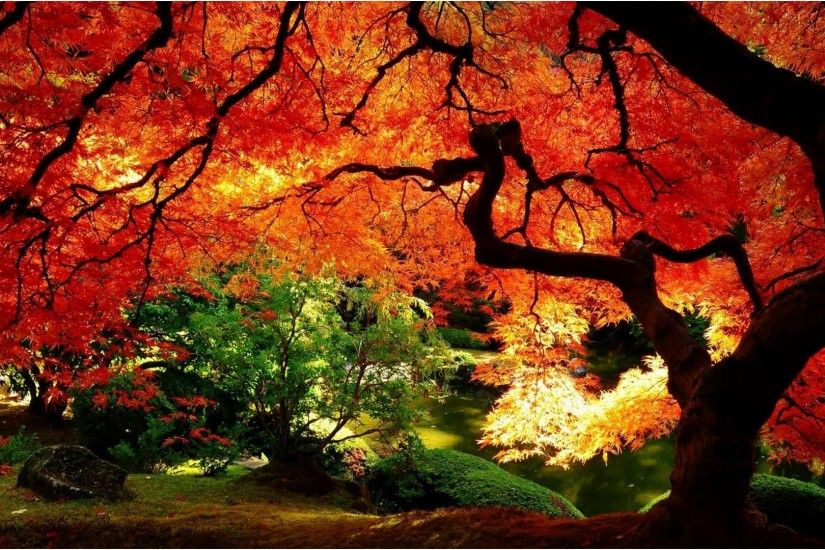Background Wallpapers Awesome Download Awesome Fall Background Wallpaper