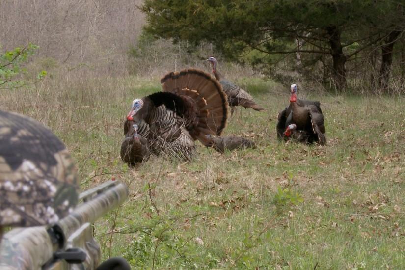 Reaction From First-Time Turkey Hunter | Turkey Hunting | Realtree .