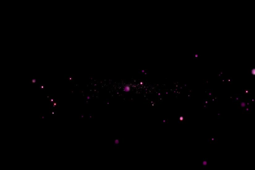Purple and pink glitter particles rise up and shimmer against a black  background. Motion Background - VideoBlocks