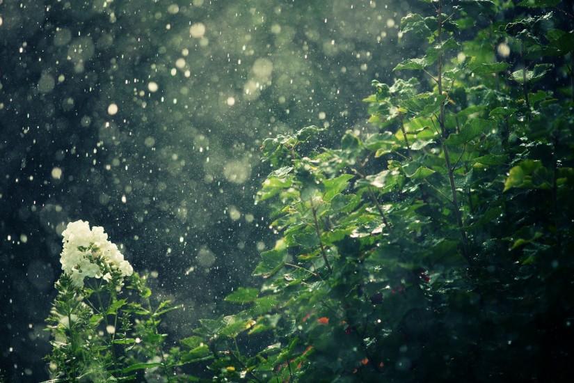 Nature Rain Wallpaper Picture Free Download Wallpapers Background 1920x1200  px 955.28 KB 3d & abstract Dreamy