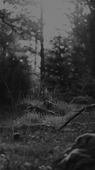 Black And White Forest Nature Eerie Android Wallpaper ...