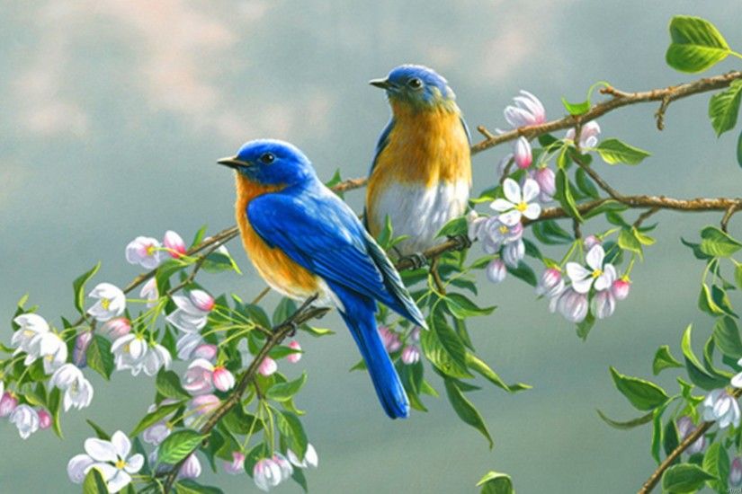 Entertainment Only Lovely Small Birds Wallpapers