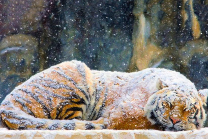 Tiger snowing art