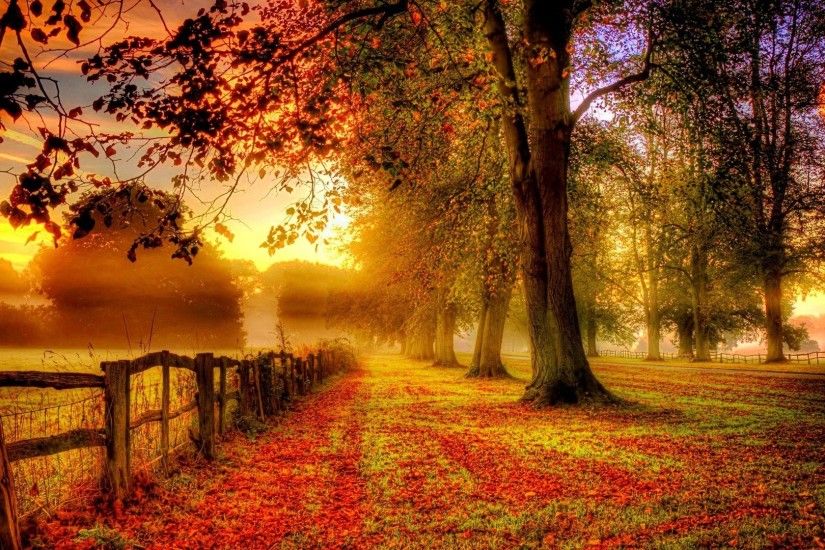 ... Autumn Sunset â¥ - Fields & Nature Background Wallpapers on .