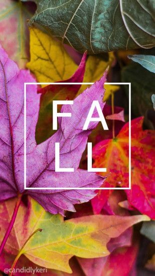 Fall leaf leaves colorful nature wallpaper you can download for free on the  blog! For