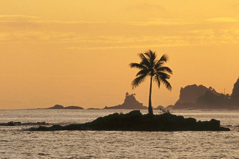 Sunset ocean islands coconut tree wallpaper | 1920x1080 | 280438 |  WallpaperUP