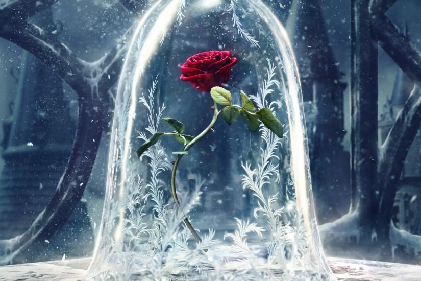 beauty and the beast wallpaper 2880x1800 photos