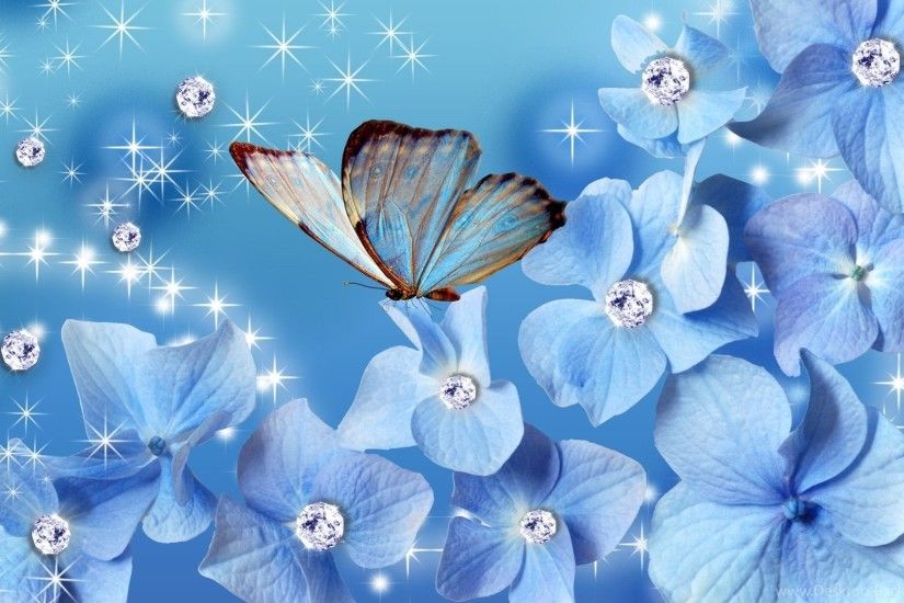 Blue Butterfly Wallpapers Hd Desktop Background