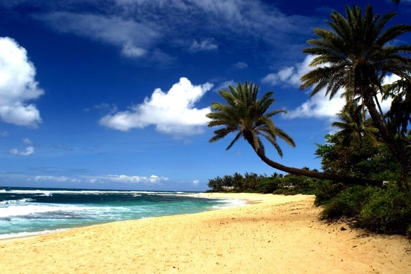 Beach Sand in Hawai'i: