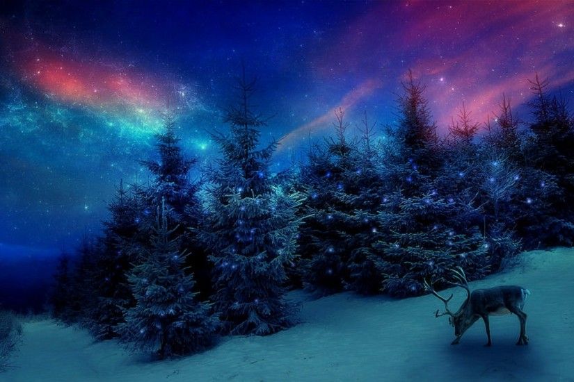 Christmas Forest Deer Trees Winter Love Seasons Attractions Dreams Blue Sky  Creative Pre Nature Greetings Landscapes