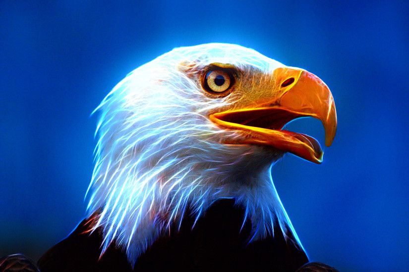 Eagle Wallpapers, Download Eagle HD Wallpapers for Free, GuoGuiyan  1920Ã1440 Eagle Wallpapers