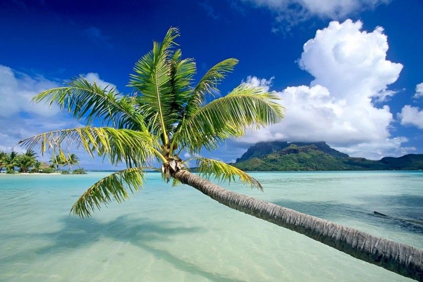 Wallpapers Backgrounds - Tropical Beach Backgrounds