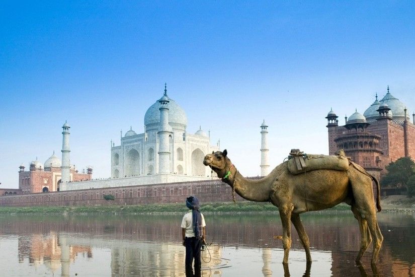 Preview wallpaper islam, architecture, camel, street 1920x1080