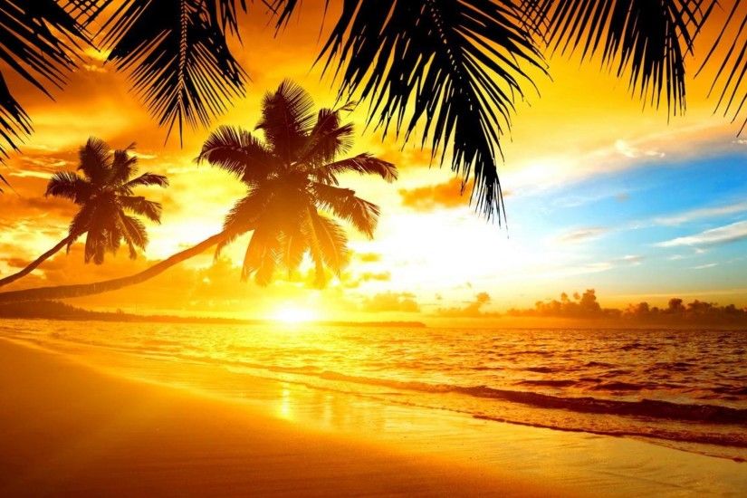 Tropical Beach sunset Wallpaper