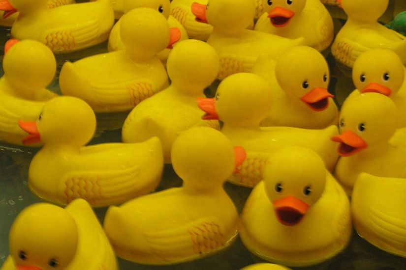 Description: Rubber ducks, rubber duck, rubber ducky, rubber duckies, bath  toy, bath toys, tub toy, tub toys, bathroom toy.