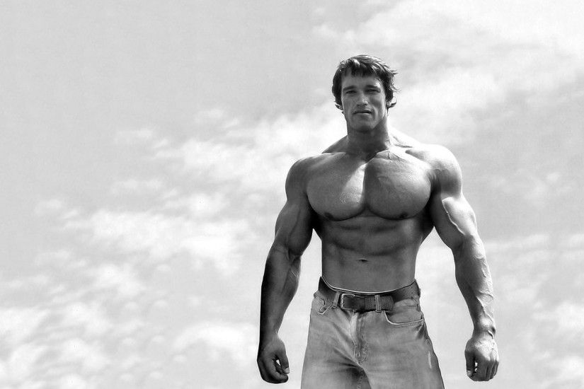 Arnold Schwarzenegger Backgrounds Arnold Schwarzenegger Wallpaper