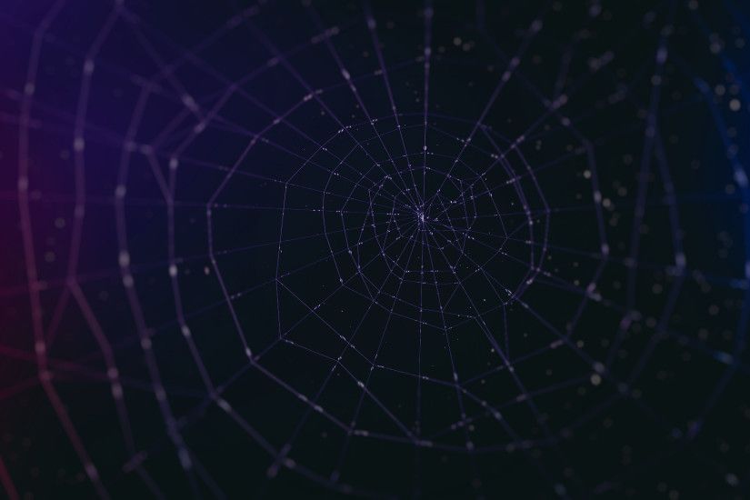 Purple spider web background - photo#3