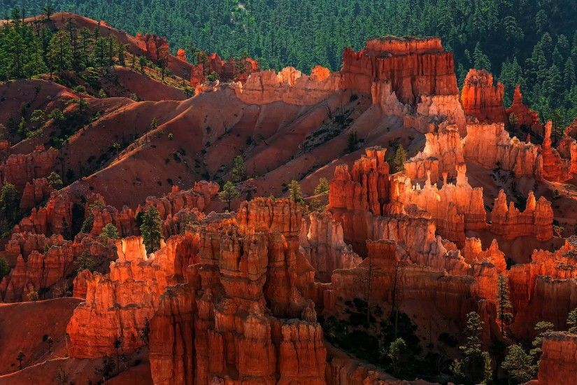 united states utah national park bryce canyon geological structures hood  rock forest night
