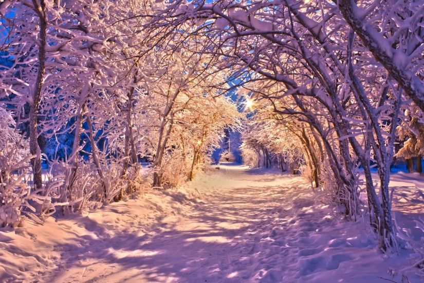 HD Nature Landscapes Winter Snow Christmas Sidewalk Roads Lights White  Trees Desktop Images Wallpaper