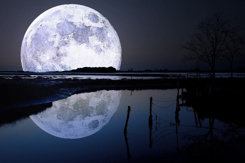 Landscapes Lakes Trees Night Moon Moonlight Nature