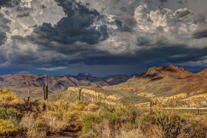 Orale-Arizona-Background