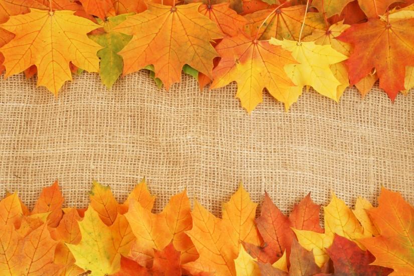 Autumn Leaves Wallpaper Free