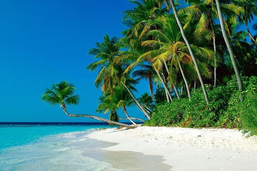 Tropical Palm beach