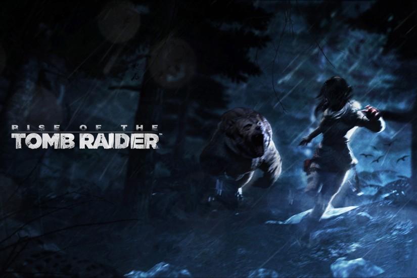 top rise of the tomb raider wallpaper 2560x1600
