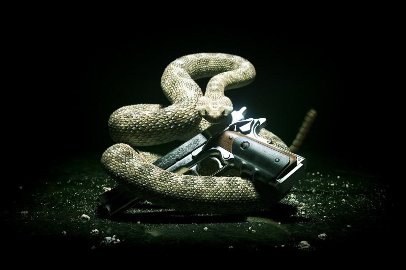 ... made back in 2010 for the game HITMAN: ABSOLUTION. I modeled and  textured the snake using a combination of ZBrush, and Photoshop. The gun  and the actual ...