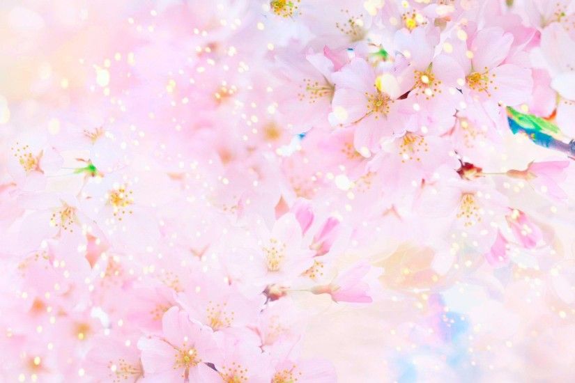 Earth - Spring Sunny Pastel Sakura Blossom Pink Wallpaper