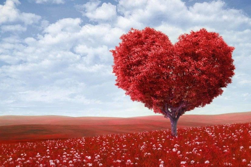 Red heart shape tree landscape love wallpaper