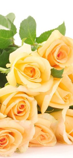 Yellow Roses Mothers Day iPhone X Wallpaper