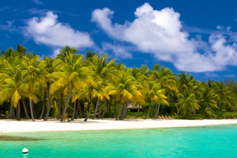 3840x1200 Wallpaper summer, maldives, tropical, beach, palm trees