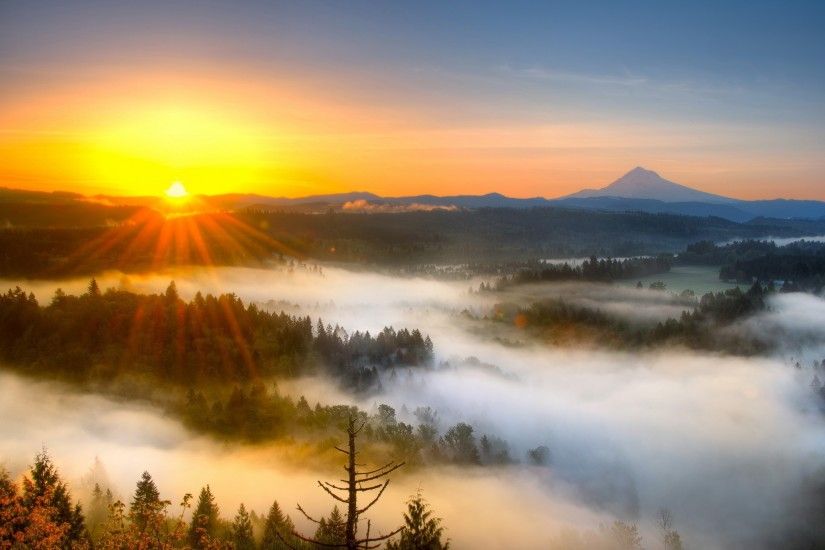 Morning Sunrise | Morning mist mountain sunrise Wallpaper | 2560x1600  wallpaper download