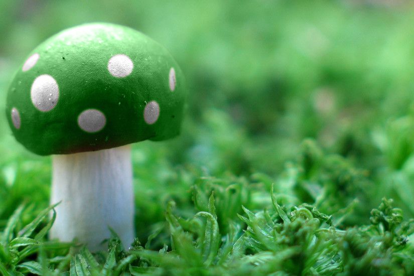 Green Mushroom Wide