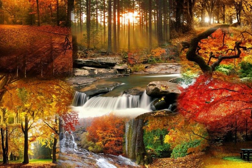 Beautiful Fall Landscape Wallpaper - Tera Wallpaper