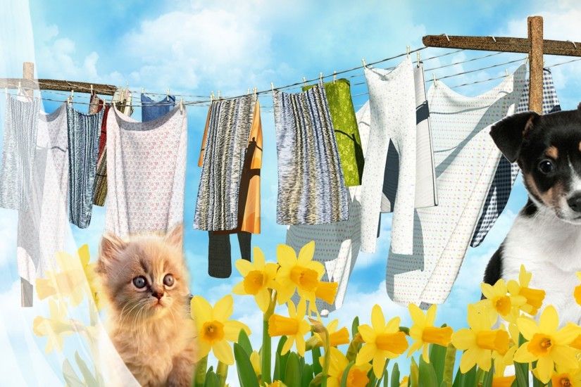 Laundry Tag - Line Persona Laundry Daffodils Firefox Kitten Cat Clothes  Clouds Fine Spring Pupply Day