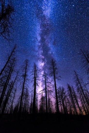 82 best images about GALAXY | iPhone Wallpapers on Pinterest .