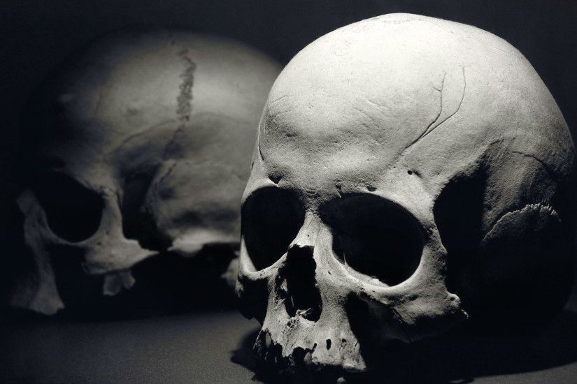dark skull evil horror skulls art artwork skeleton d wallpaper background