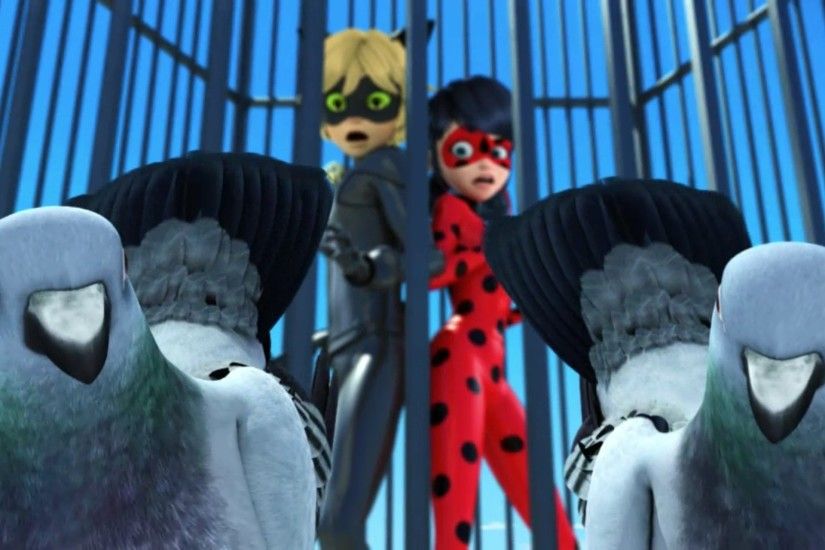 Mr. Pigeon, under Hawk Moth's command, tells Ladybug and Cat Noir to give  up their Miraculouses, or the pigeons will attack them with poop.