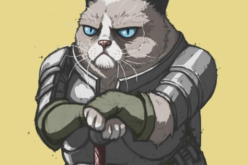 Preview wallpaper grumpy cat, armor, meme, popular 2048x2048